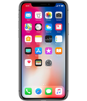 Apple iPhone X